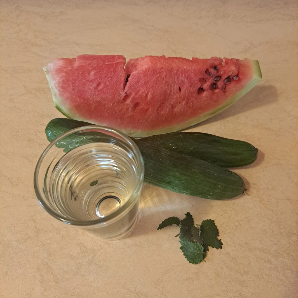 Cucumbers, watermelon piece, fresh mint leaves, and a glass of water prepared for juice.