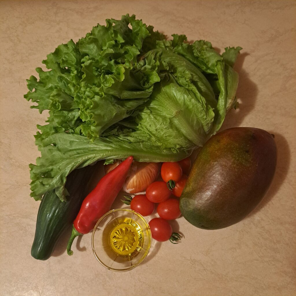Whole mango, cucumber, cherry tomatoes, onion, red bell pepper, and olive oil displayed as ingredients for the salad.