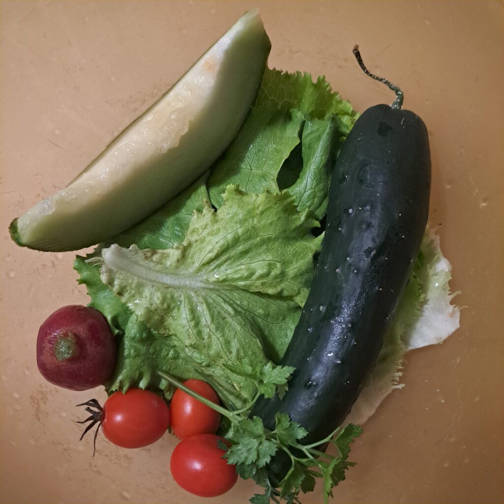 Bowl with salad ingredients including green lettuce, radish, cucumber, melon slice, and cherry tomatoes.