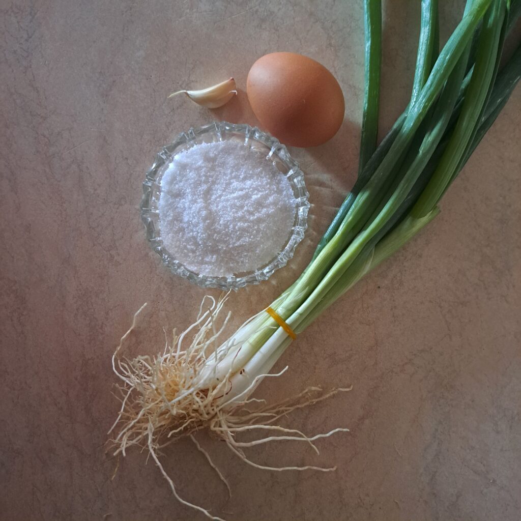 Fresh spring onions, a garlic clove, an egg, and salt arranged on a kitchen table.
