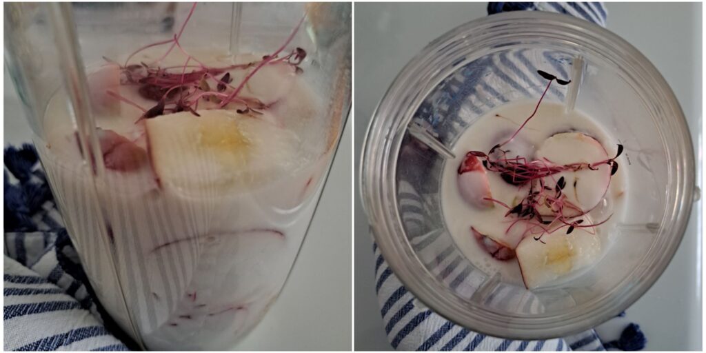 Side and top view of a blender filled with apples, banana, yogurt, milk, and amaranth microgreens ready for blending.