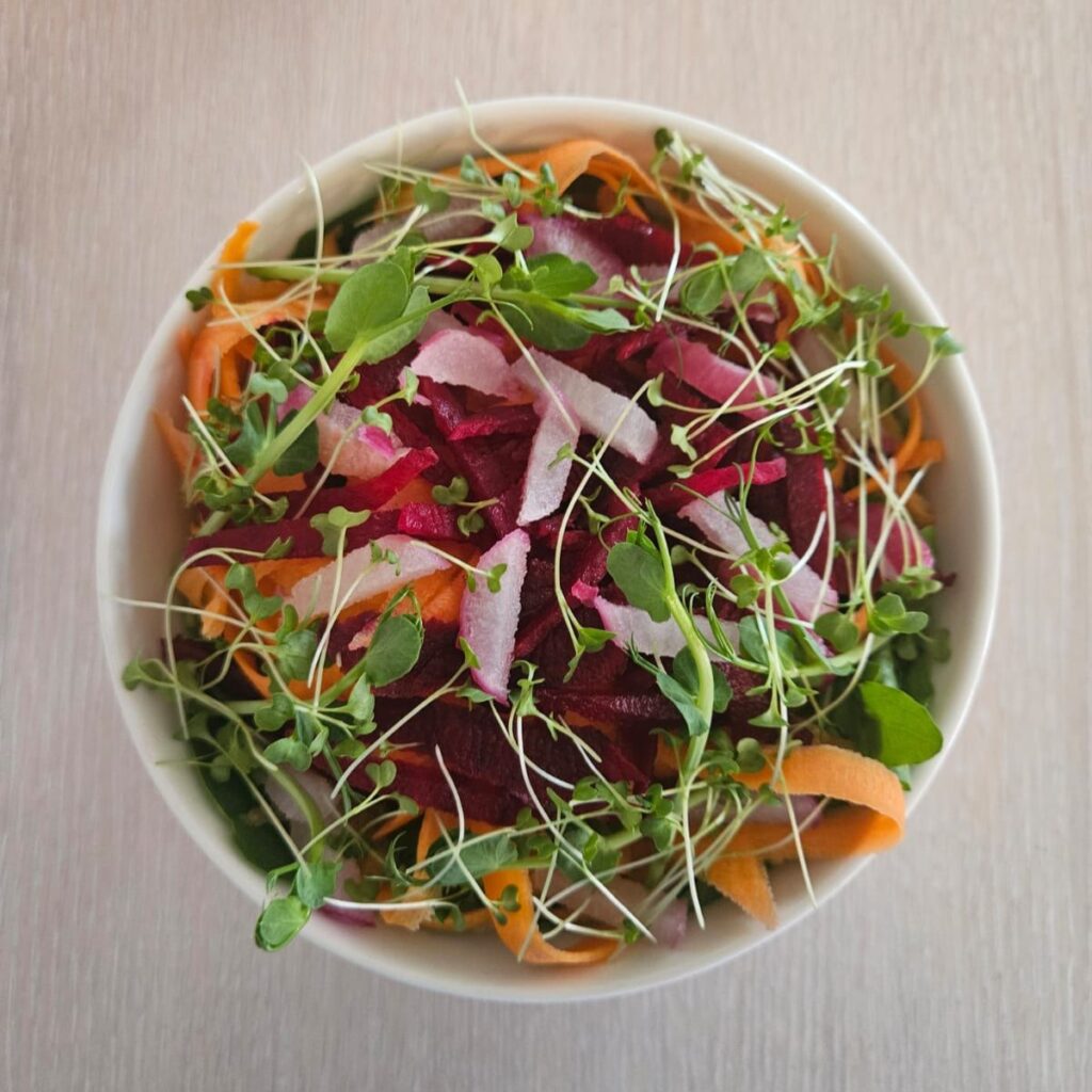 Carrot Beetroot Radish Salad with Microgreens beautifully arranged in a bowl.