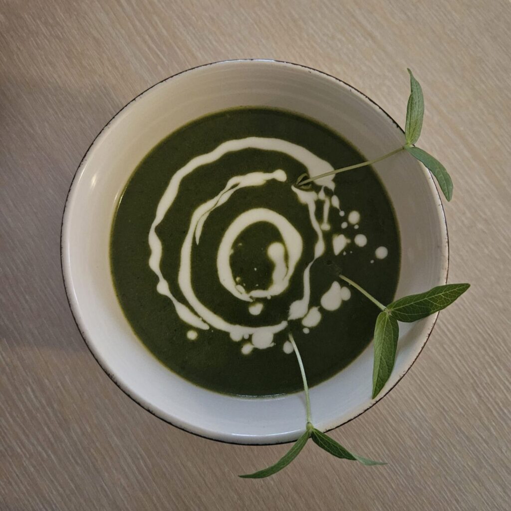 Bowl of broccoli spinach yogurt soup beautifully served and decorated with fresh mung bean microgreens.